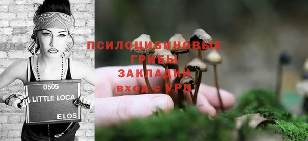 mdpv Билибино